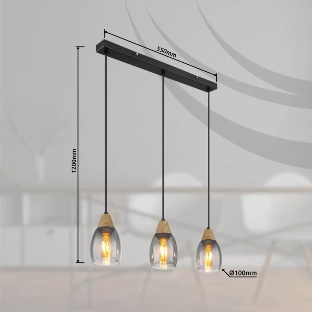 Globo Reid Hanglamp 3xE27 - Zwart - Ø10cm