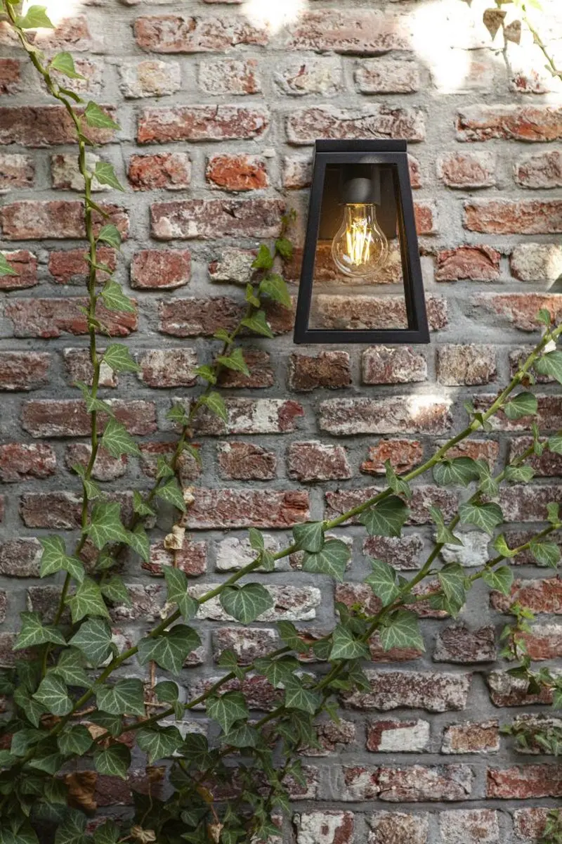 Lutec Flair Solar Wandlamp E27 - Zwart