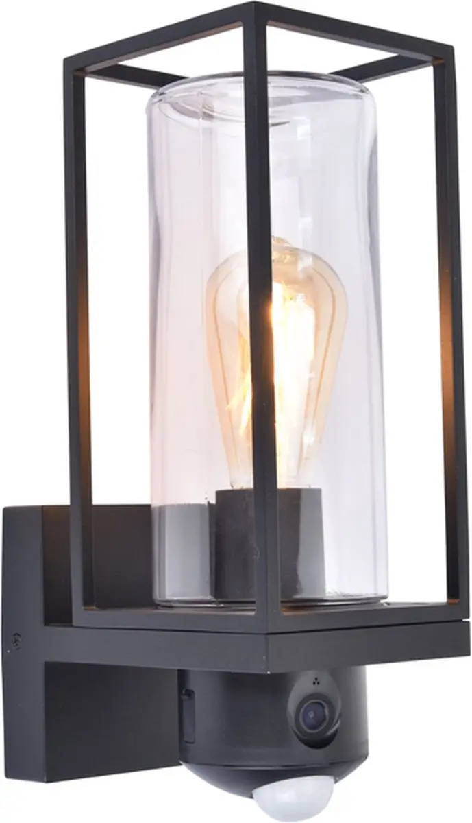 Lutec Connect Flair Slimme Wandlamp E27