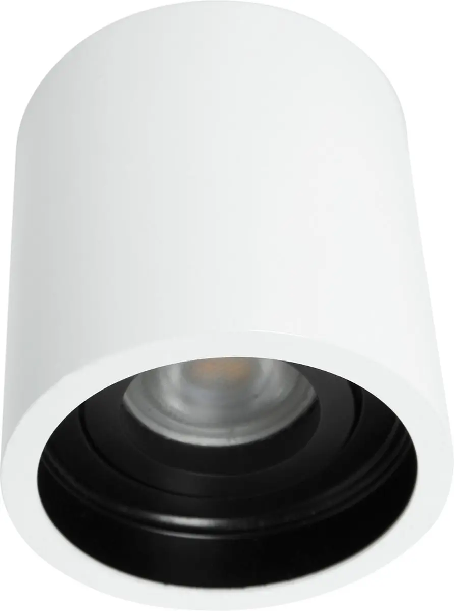 Steinhauer Pelite Spot 1731W Opbouwspot - Wit Ø8,5cm