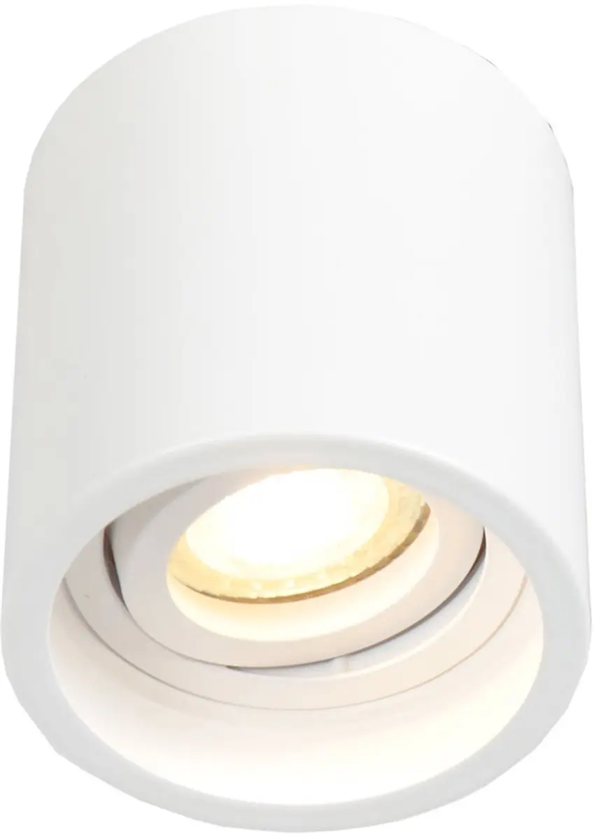 Steinhauer Pelite Spot 1731W Opbouwspot - Wit Ø8,5cm