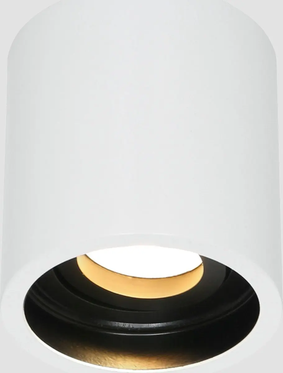 Steinhauer Pelite Spot 1731W Opbouwspot - Wit Ø8,5cm