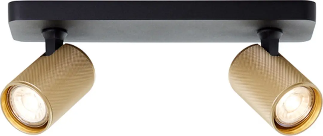 Brilliant Marty Plafondspot GU10 2x5W 3000K