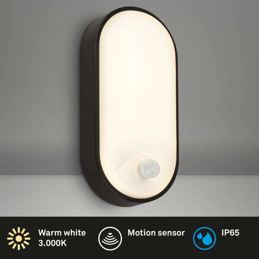 Briloner Ruch LED Wandlamp 3830015 - Bewegingsmelder 12W - Zwart