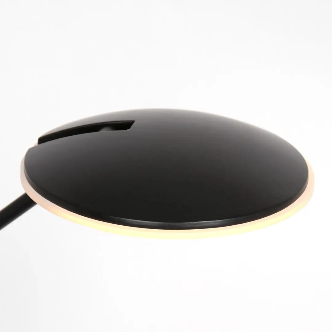 Steinhauer Daphne 3393ZW Vloerlamp - 7W LED Warm Wit