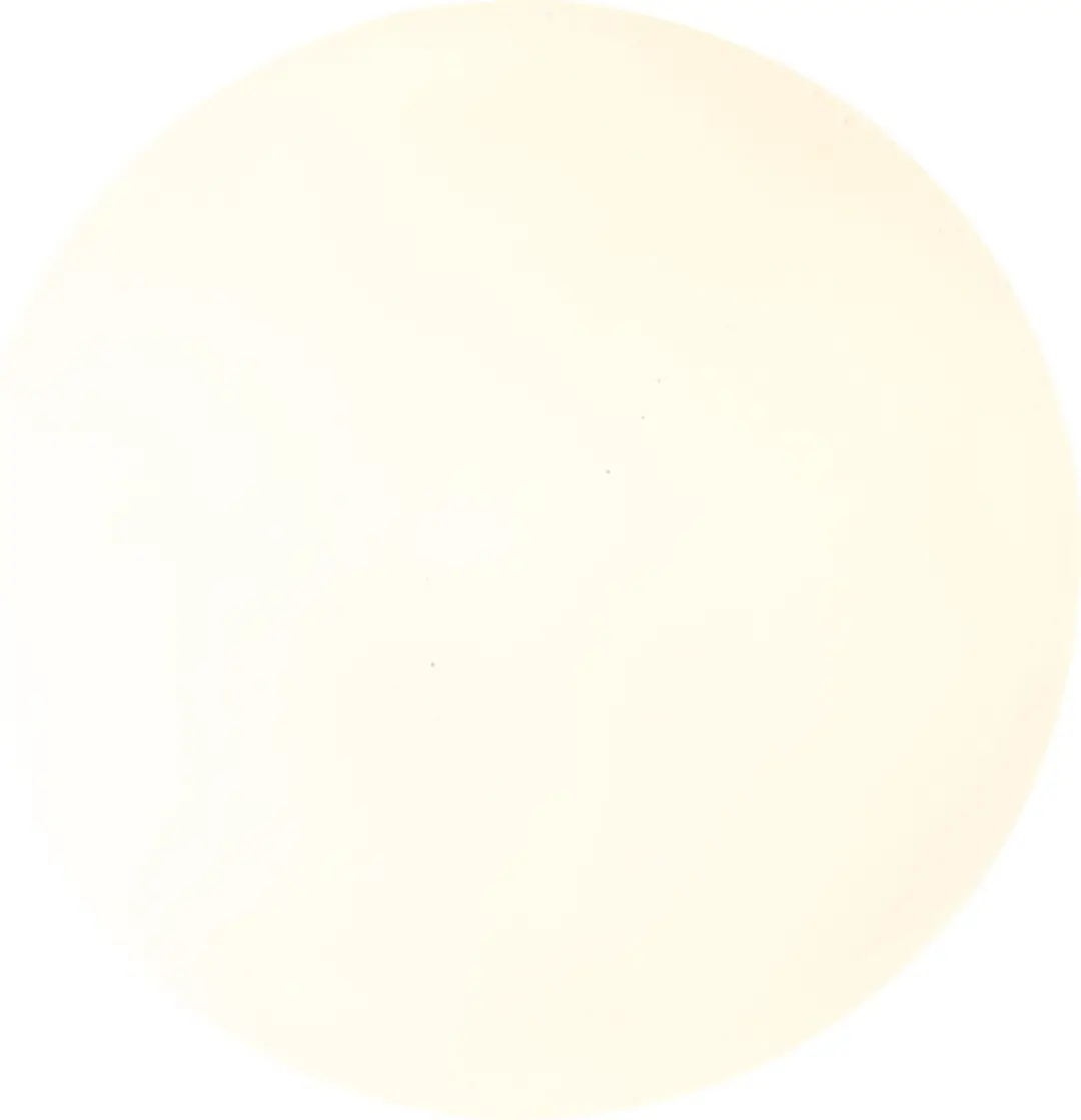 Brilliant Farica Starry Plafondlamp - 35cm - Wit