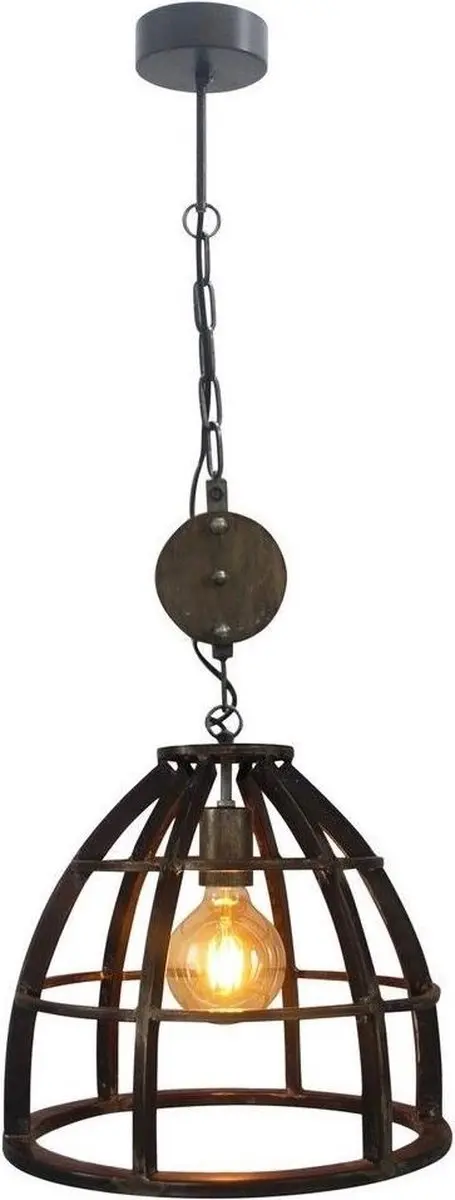 Brilliant Birdy Hanglamp Industrieel - Antiek zwart