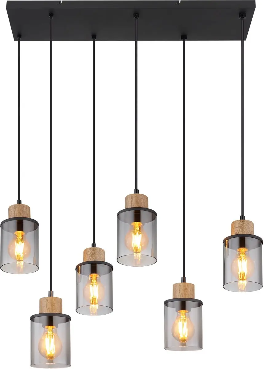 Globo Reid Hanglamp 6xE27