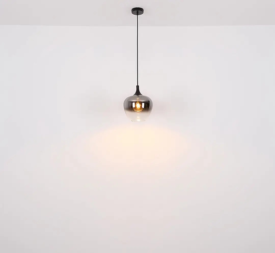 Globo Maxy Hanglamp - Ø24cm - Zwart - E27