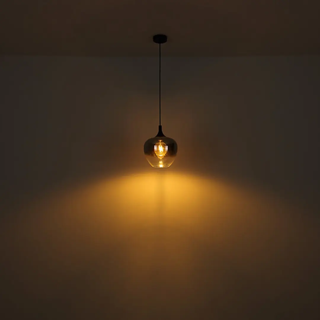 Globo Maxy Hanglamp - Ø24cm - Zwart - E27