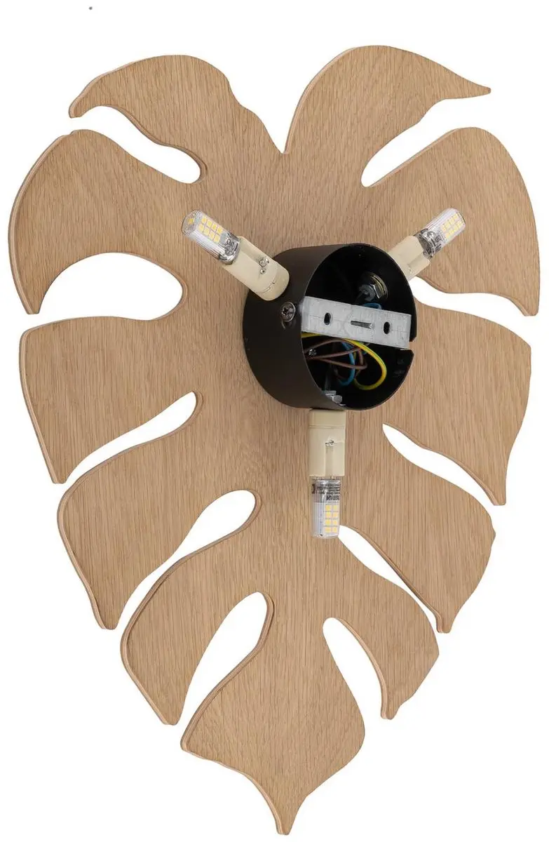 Envostar Wandlamp Hout 3-lichts G9 - Hel hout - afbeelding 6 van 6