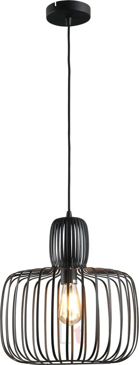Freelight Costola Hanglamp