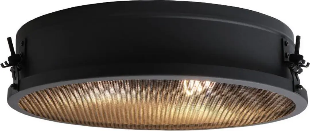 Brilliant Zois Plafondlamp E27