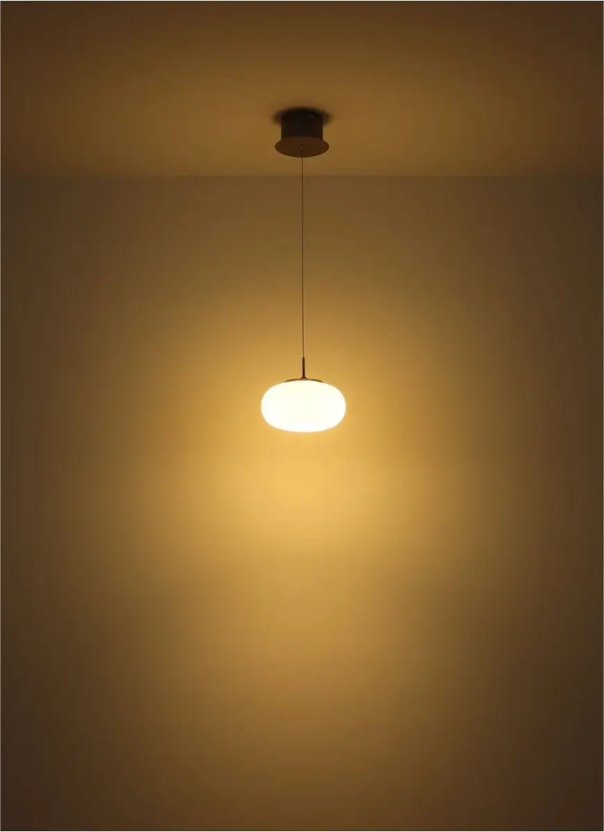 Globo Quintara Hanglamp - Ø20cm - LED - Zwart