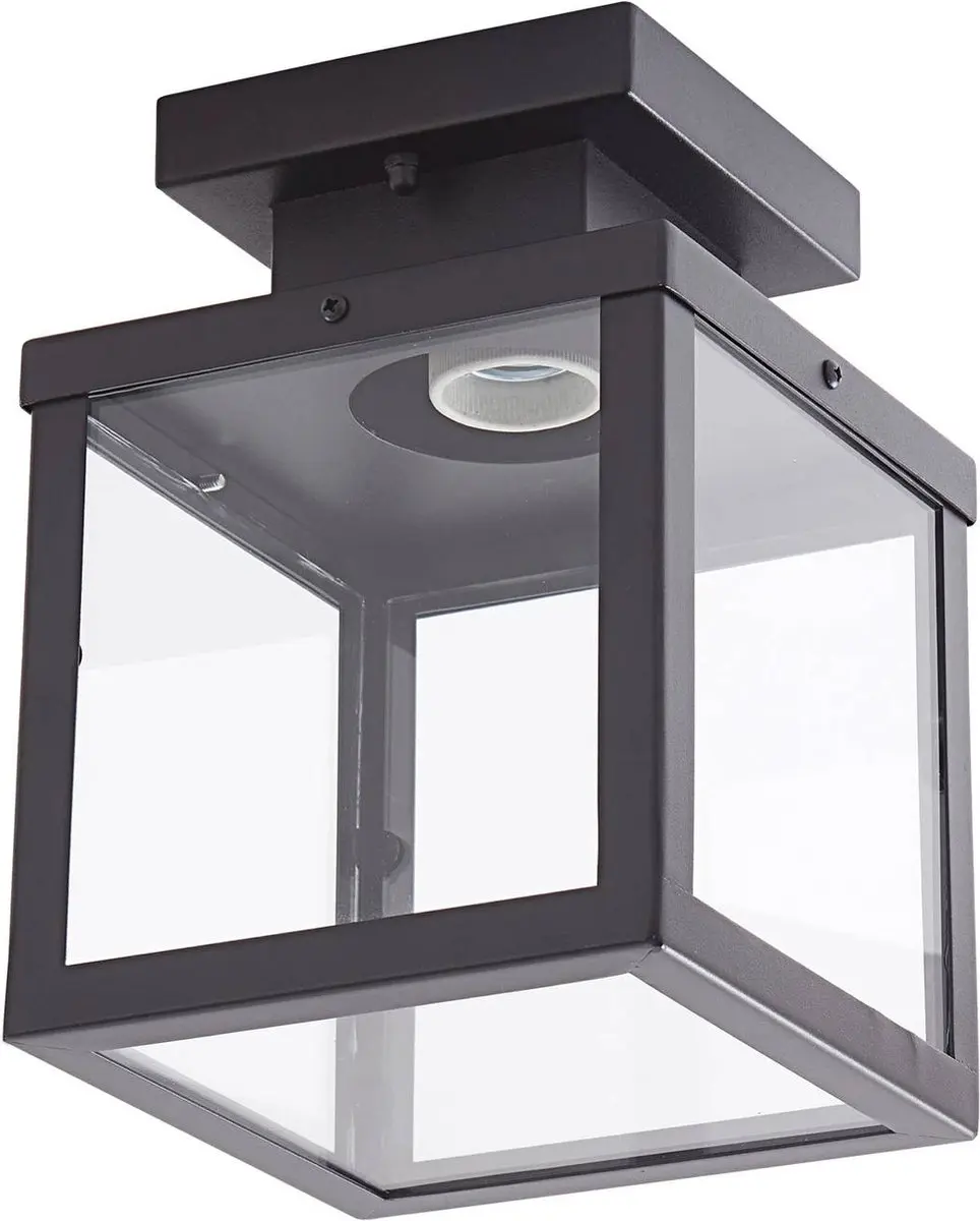 Lindby Plafondlamp 1 Licht - Zwart/Transparant
