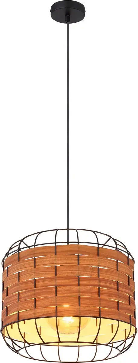 Globo Elmar Hanglamp 60W