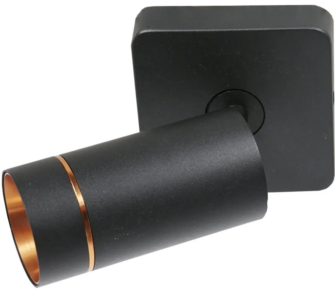 Steinhauer Downlume 4860ZW Spot Downlume