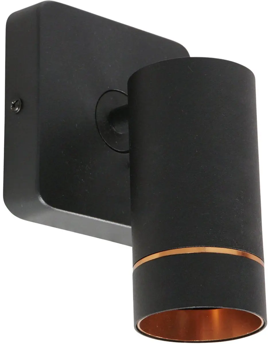 Steinhauer Downlume 4860ZW Spot Downlume - 40W - Zwart