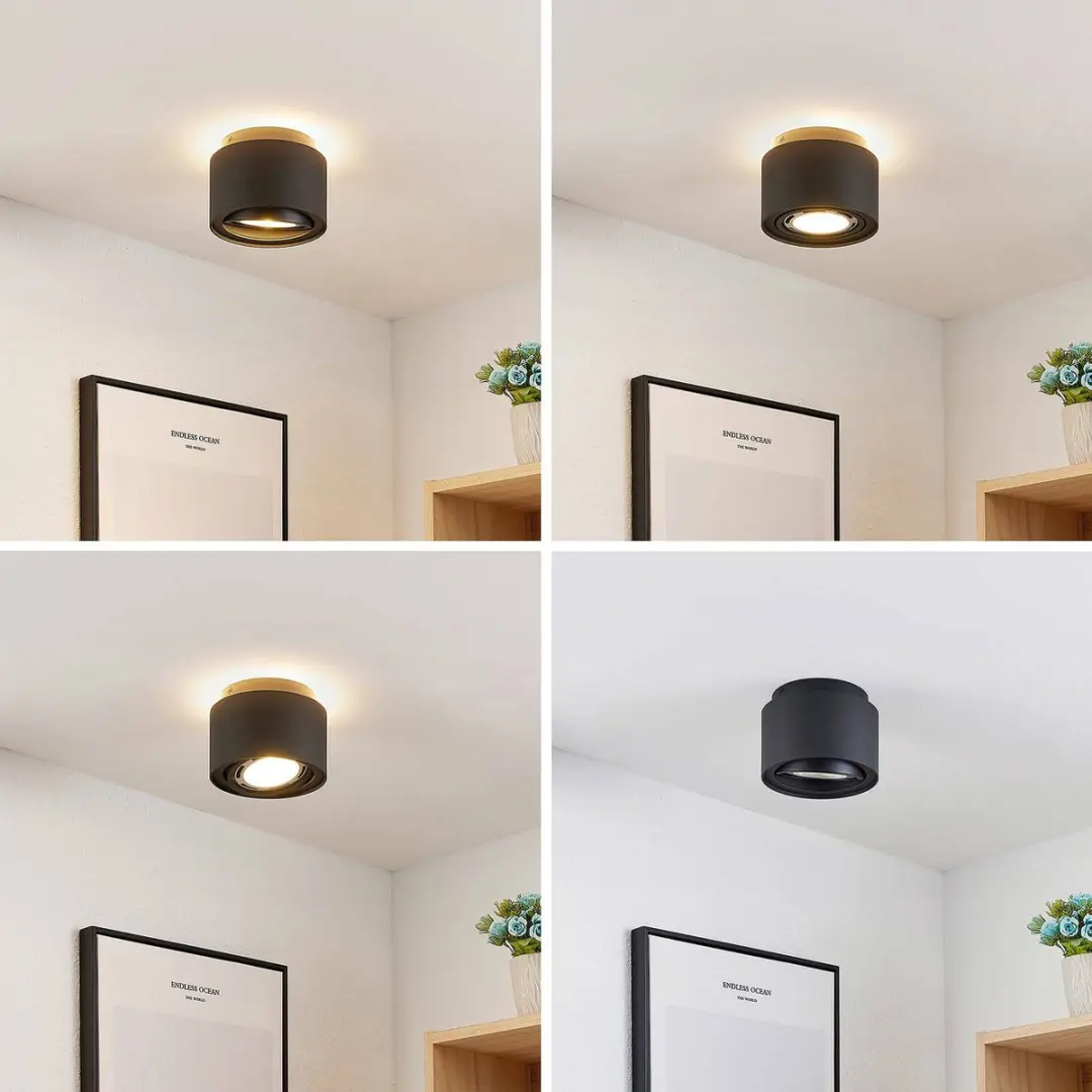 ARCCHIO Buitenspot Aluminium GU10 - 1 Lichtpunt - 20W - Zwart - afbeelding 6 van 6
