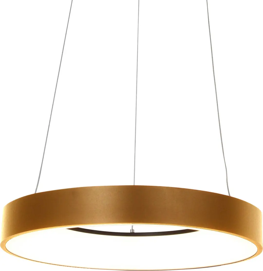 Steinhauer Ringlede Hanglamp