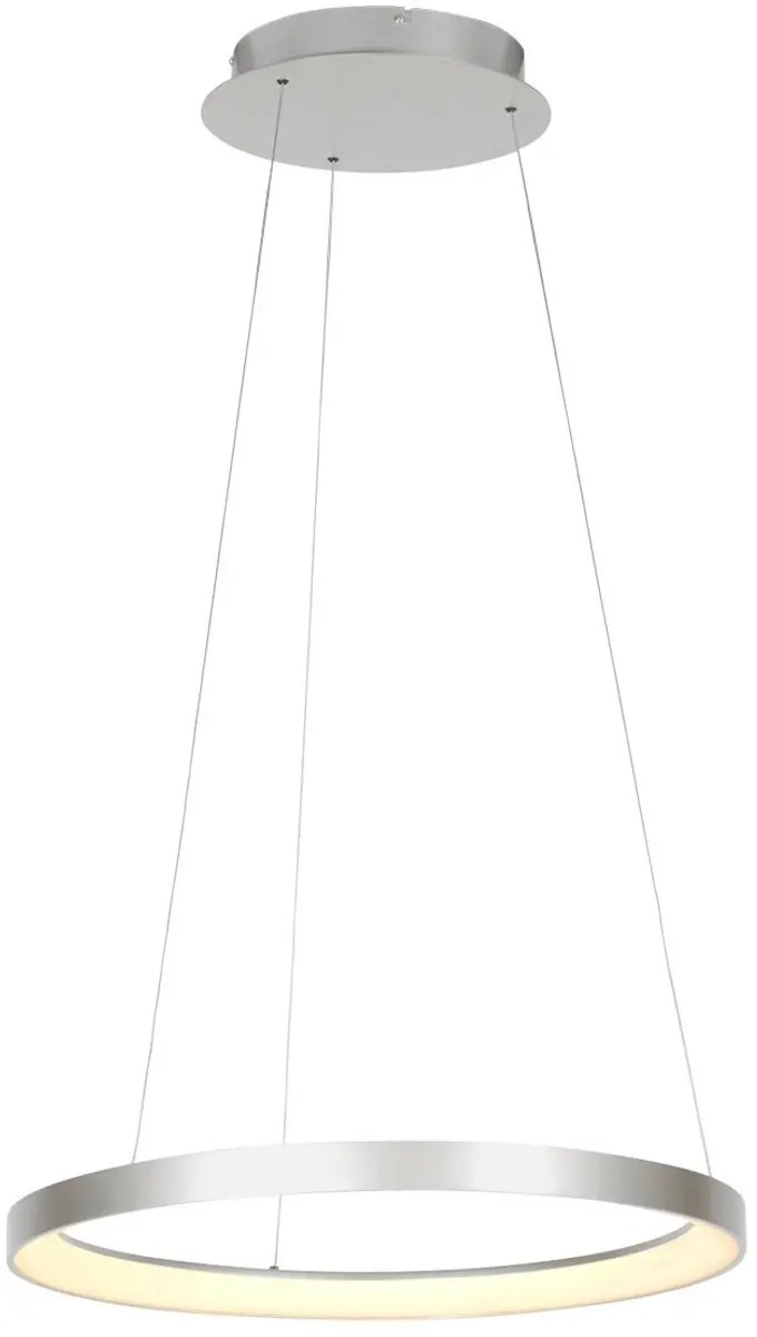 Steinhauer Ringlede 4612ST Hanglamp - 40W - Zilver