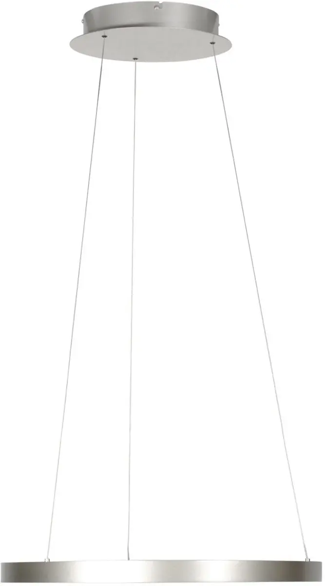 Steinhauer Ringlede 4612ST Hanglamp