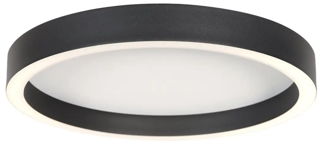 Steinhauer Ringlux 4134ZW Plafondlamp