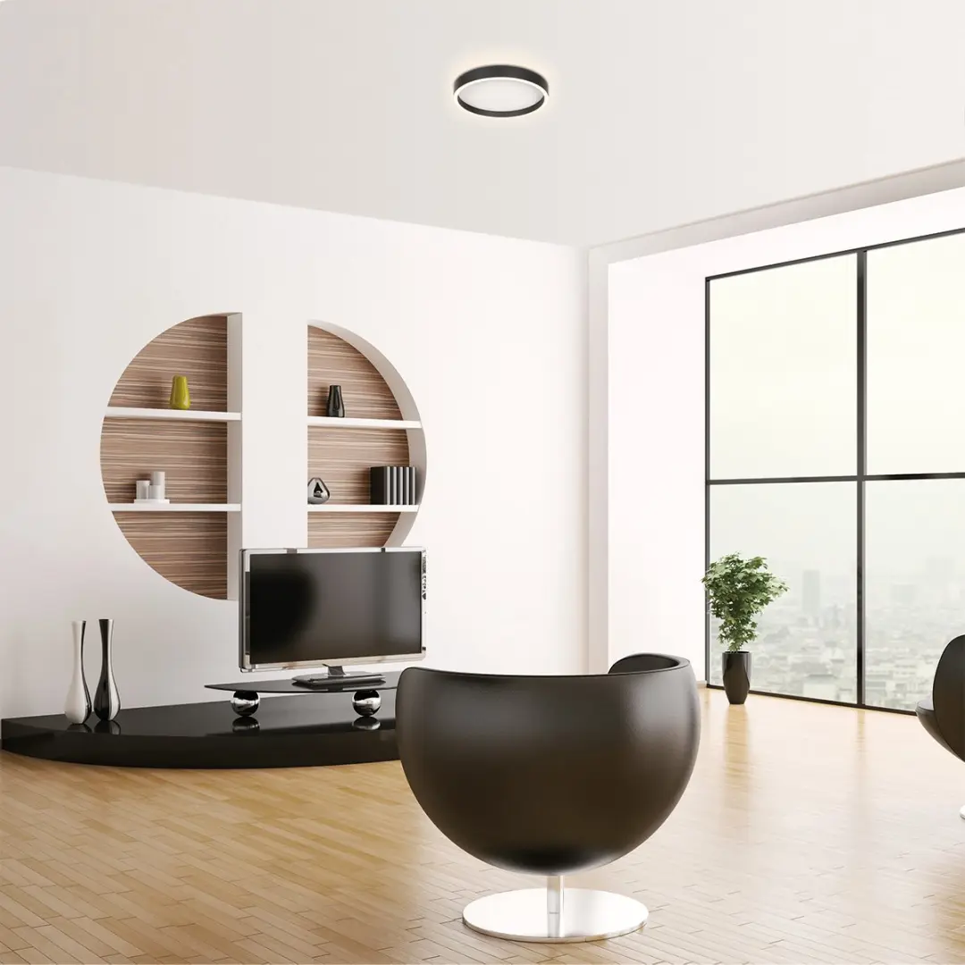 Steinhauer Ringlux 4134ZW Plafondlamp - 2x20W 2700K Ø30cm Zwart - afbeelding 6 van 6