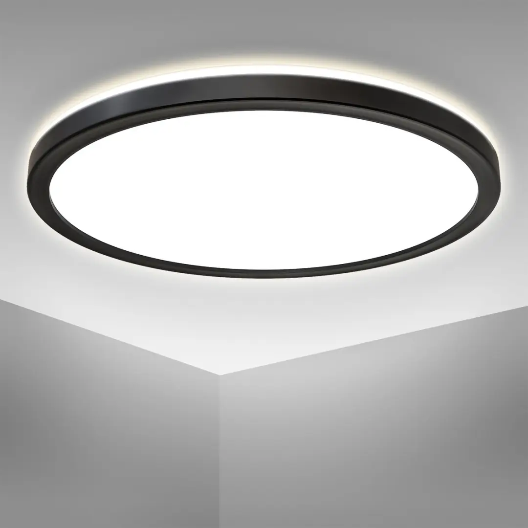 Briloner Plafondlamp Ø29.3cm 2.400Lm 18W - Zwart
