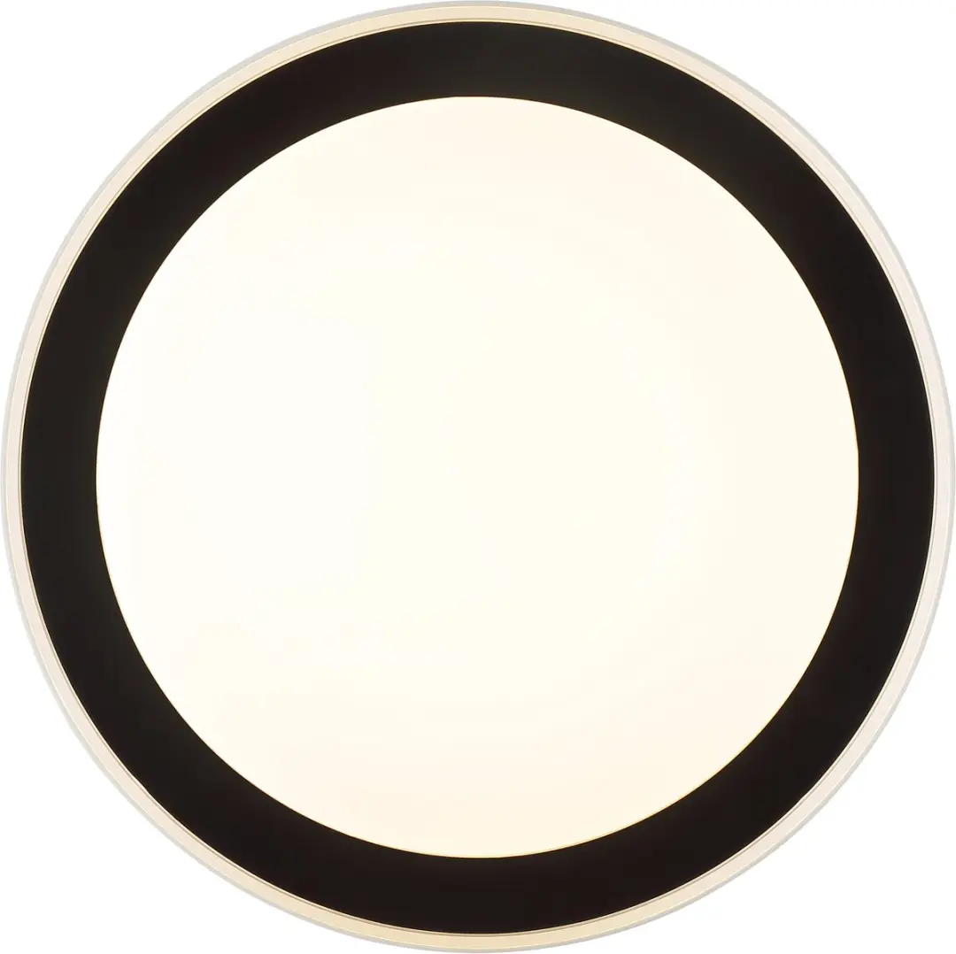 Brilliant Pederson Plafondlamp 26W - 45cm - Zwart