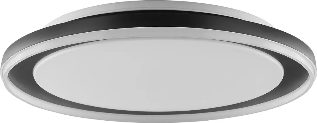 Brilliant Pederson Plafondlamp 26W - 45cm - Zwart