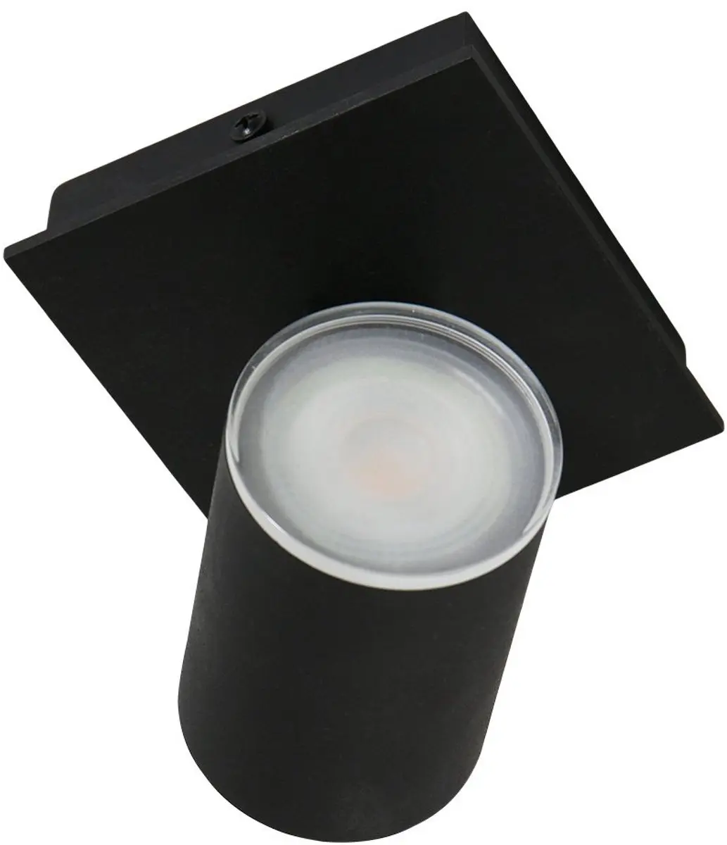 Steinhauer Points Noirs 3059ZW Plafondspot