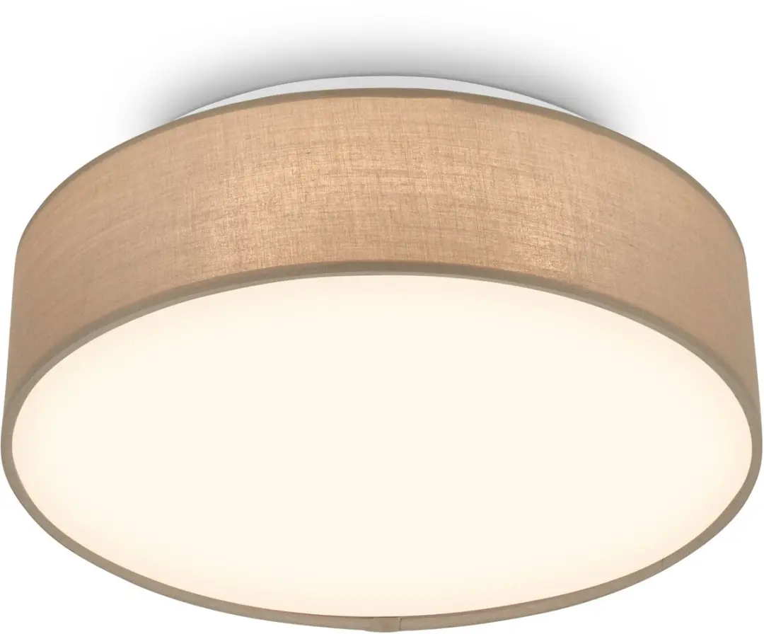 Briloner Duck LED Plafondlamp 16W