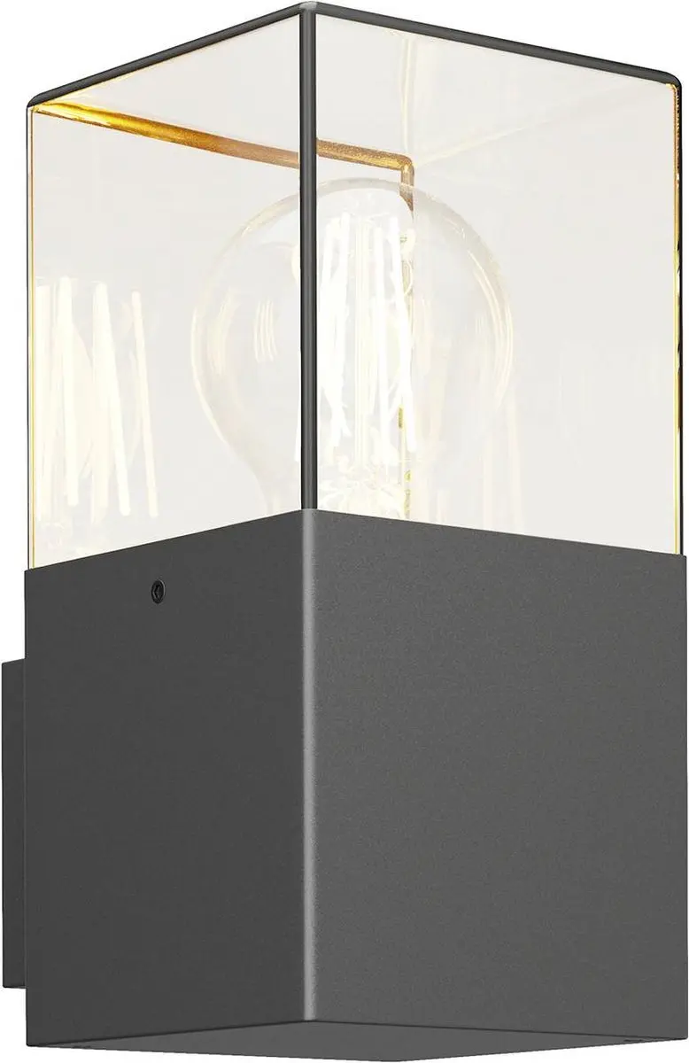 Lucande Wandlamp Buiten 1 Licht E27 Grafietgrijs
