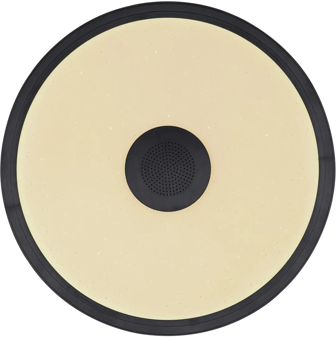Globo Raffy Plafondlamp - 28cm - Zwart - 2x LED
