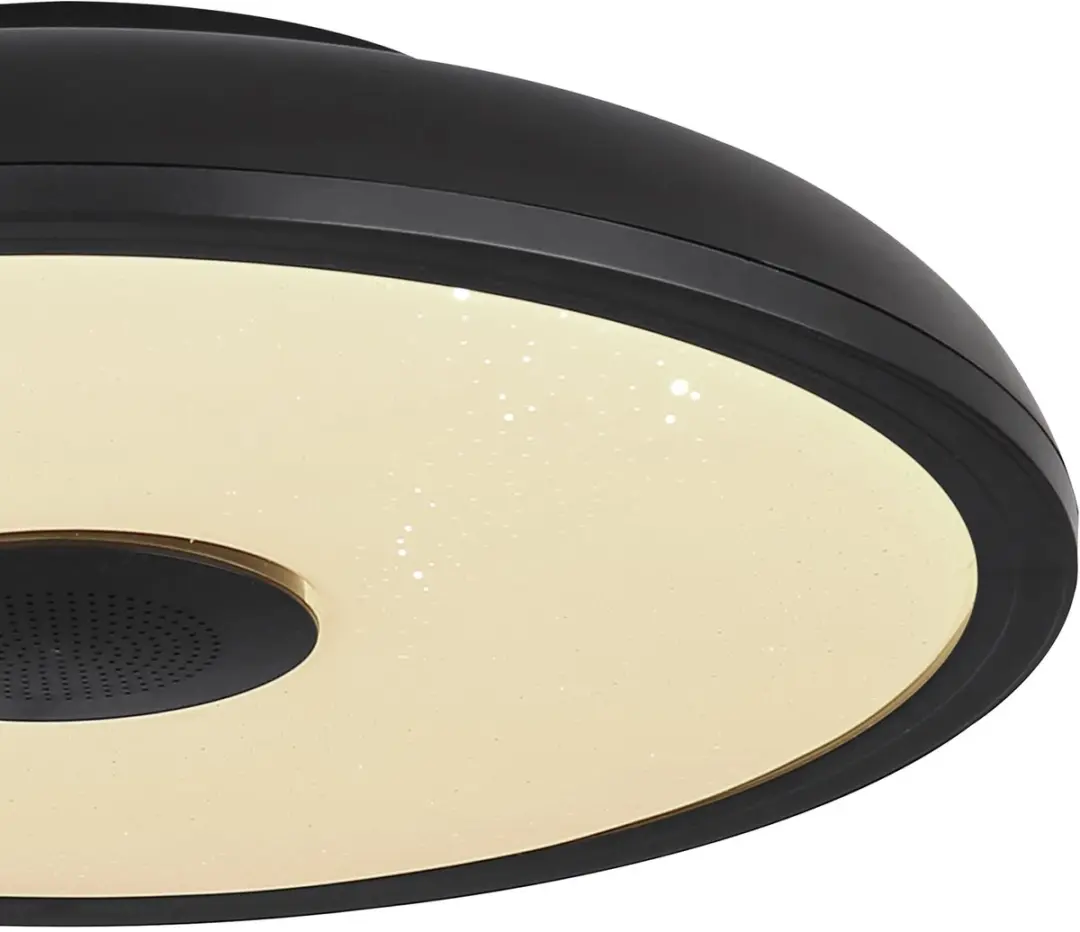 Globo Raffy Plafondlamp - 28cm - Zwart - 2x LED