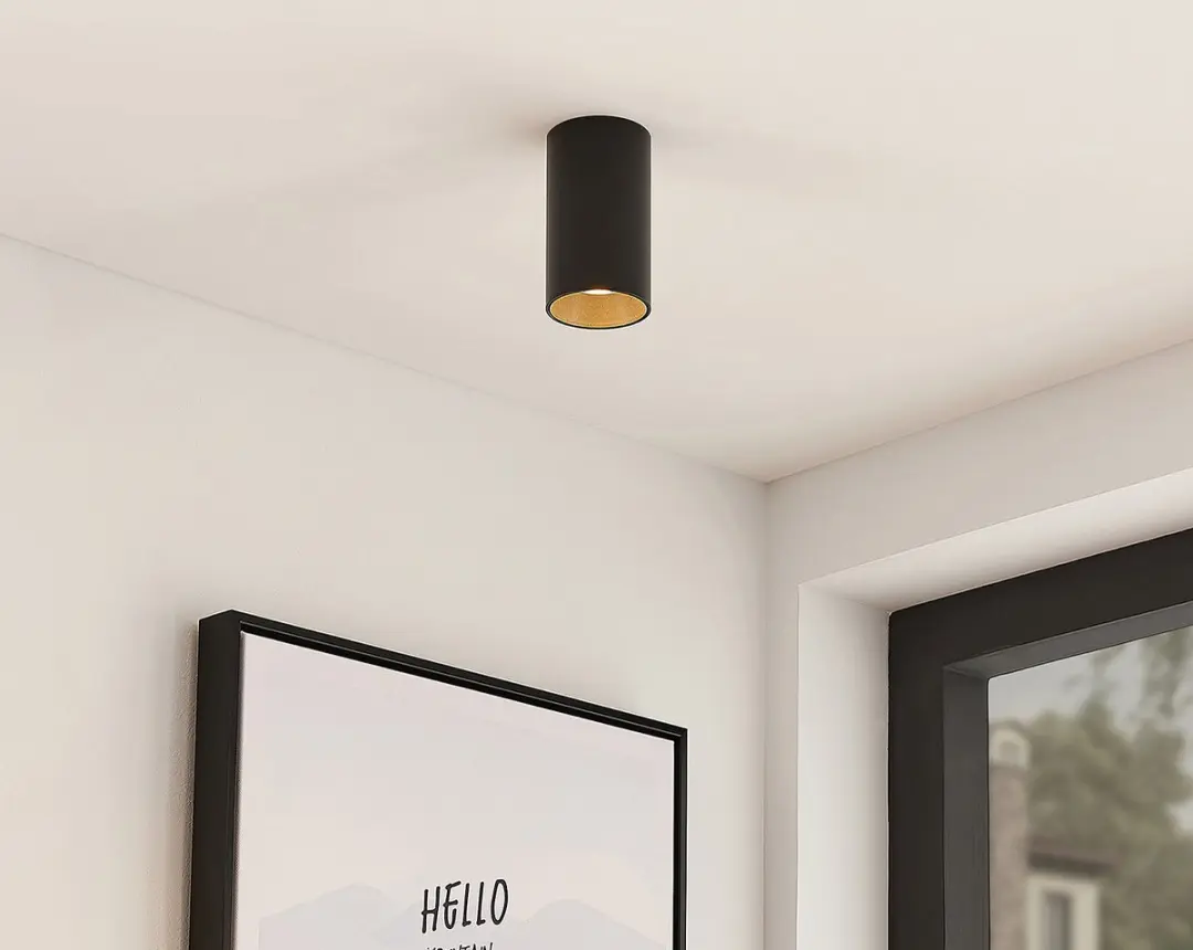 ARCCHIO Plafondlamp 1 Licht GU10 - Zwart