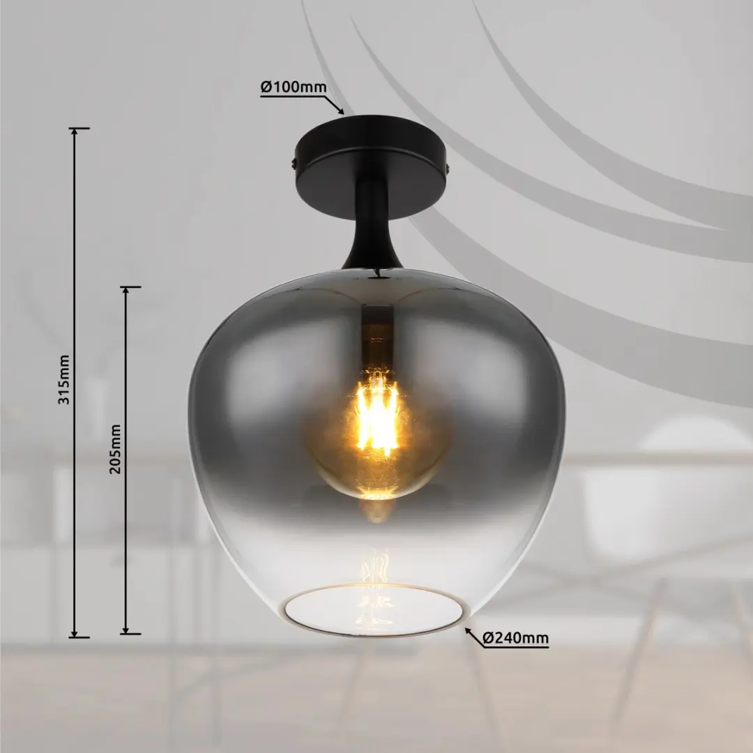 Globo Maxy Plafondlamp - Zwart Ø24cm E27
