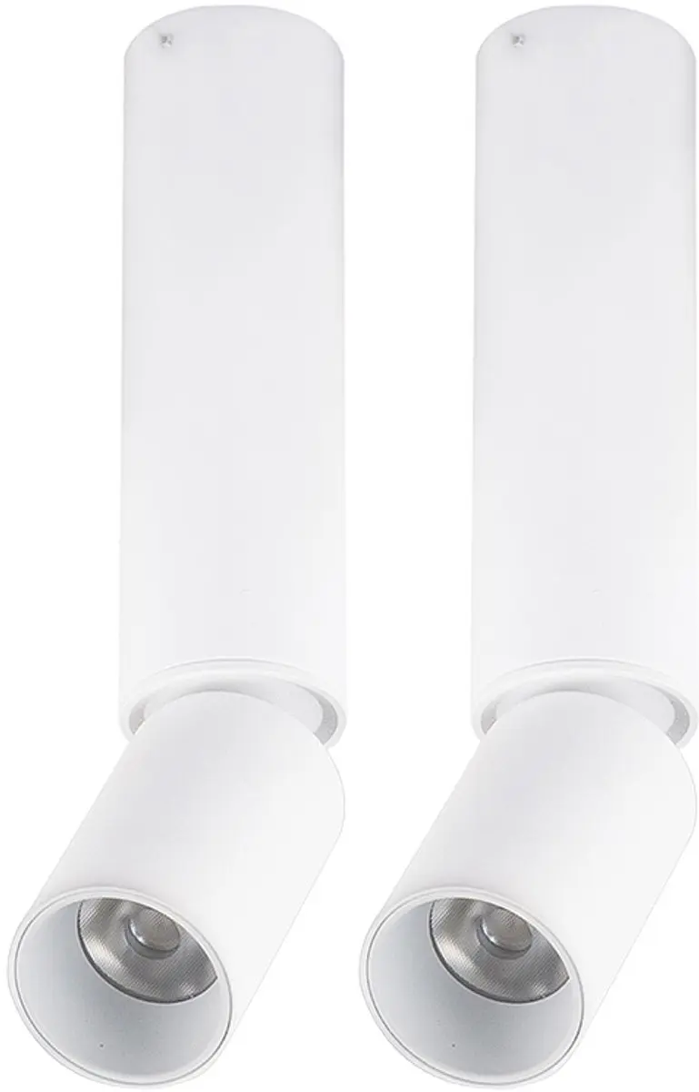 Globo Plafondlamp Set 2