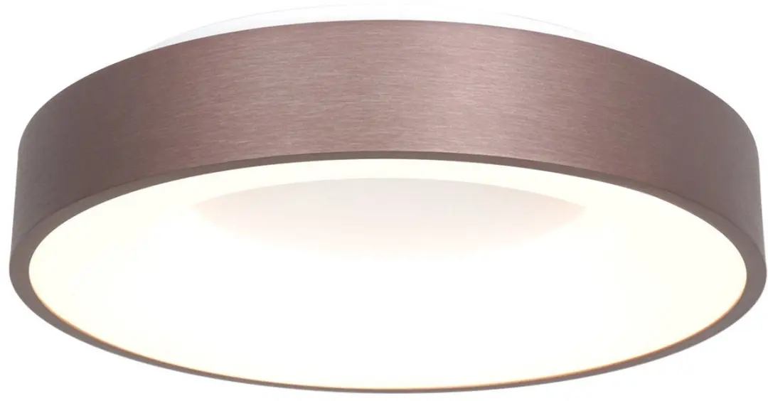 Steinhauer Ringlede 2563BR Plafonnier