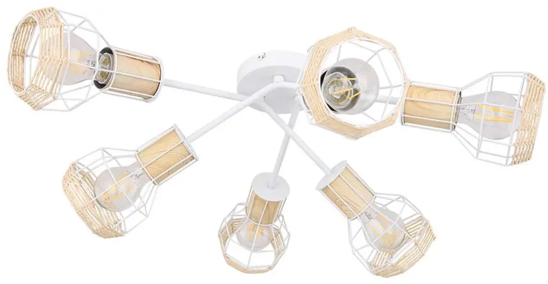 Globo Plafondlamp Spot 6 Vlammen Kooi Kappen