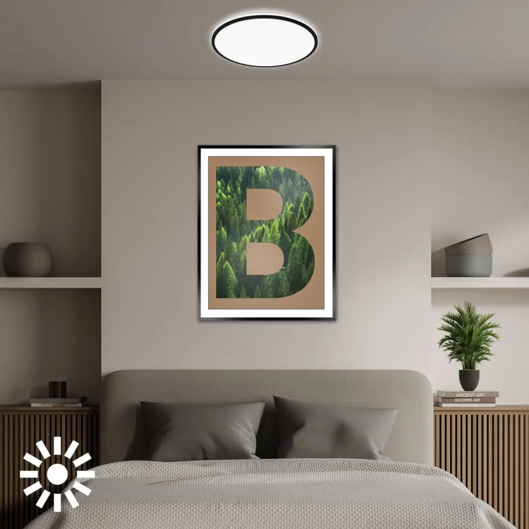 Briloner Pulap A LED Plafonnière - Ø33cm - Zwart