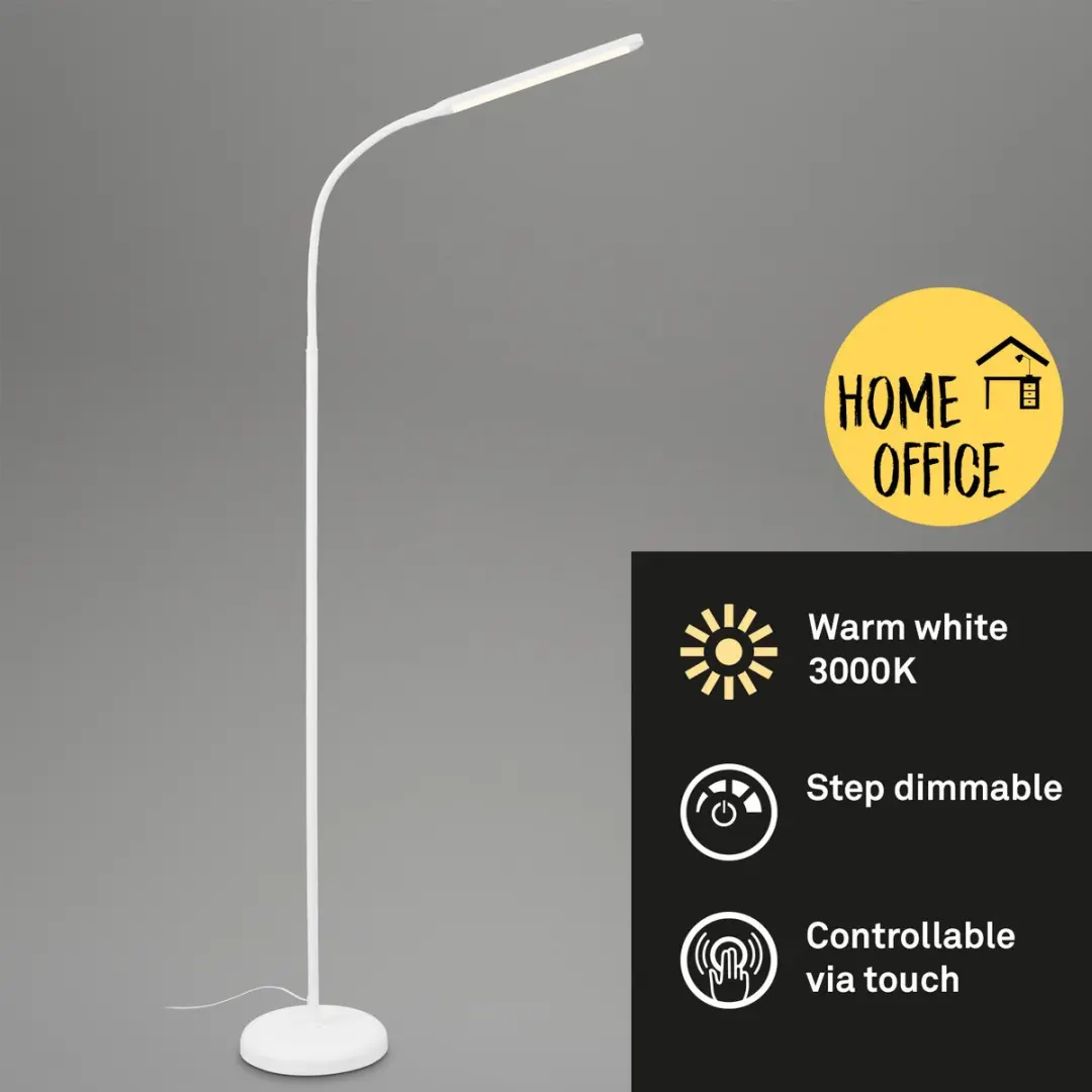 Briloner Pivaz Vloerlamp