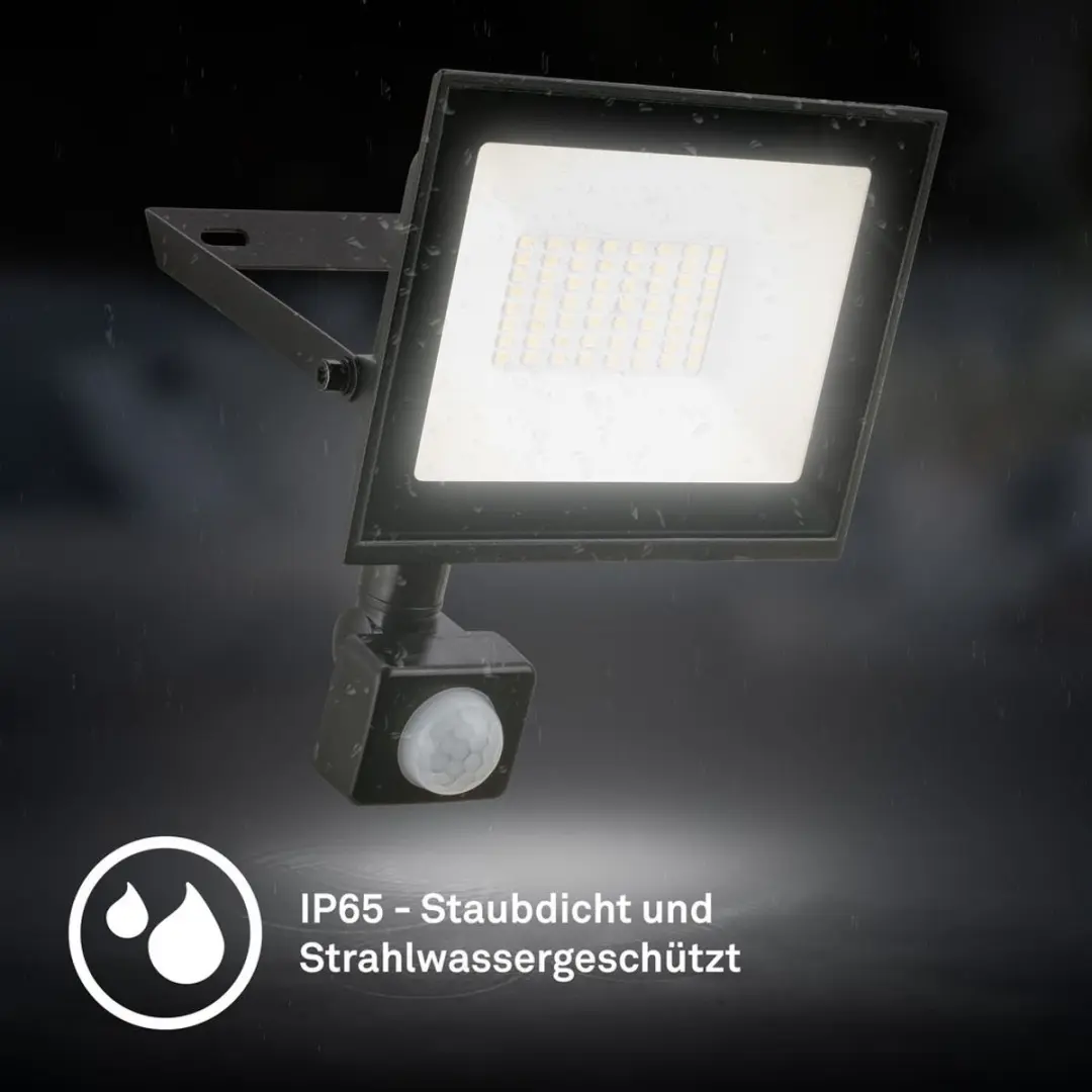 Briloner Varo LED Schijnwerper 30W - Zwart