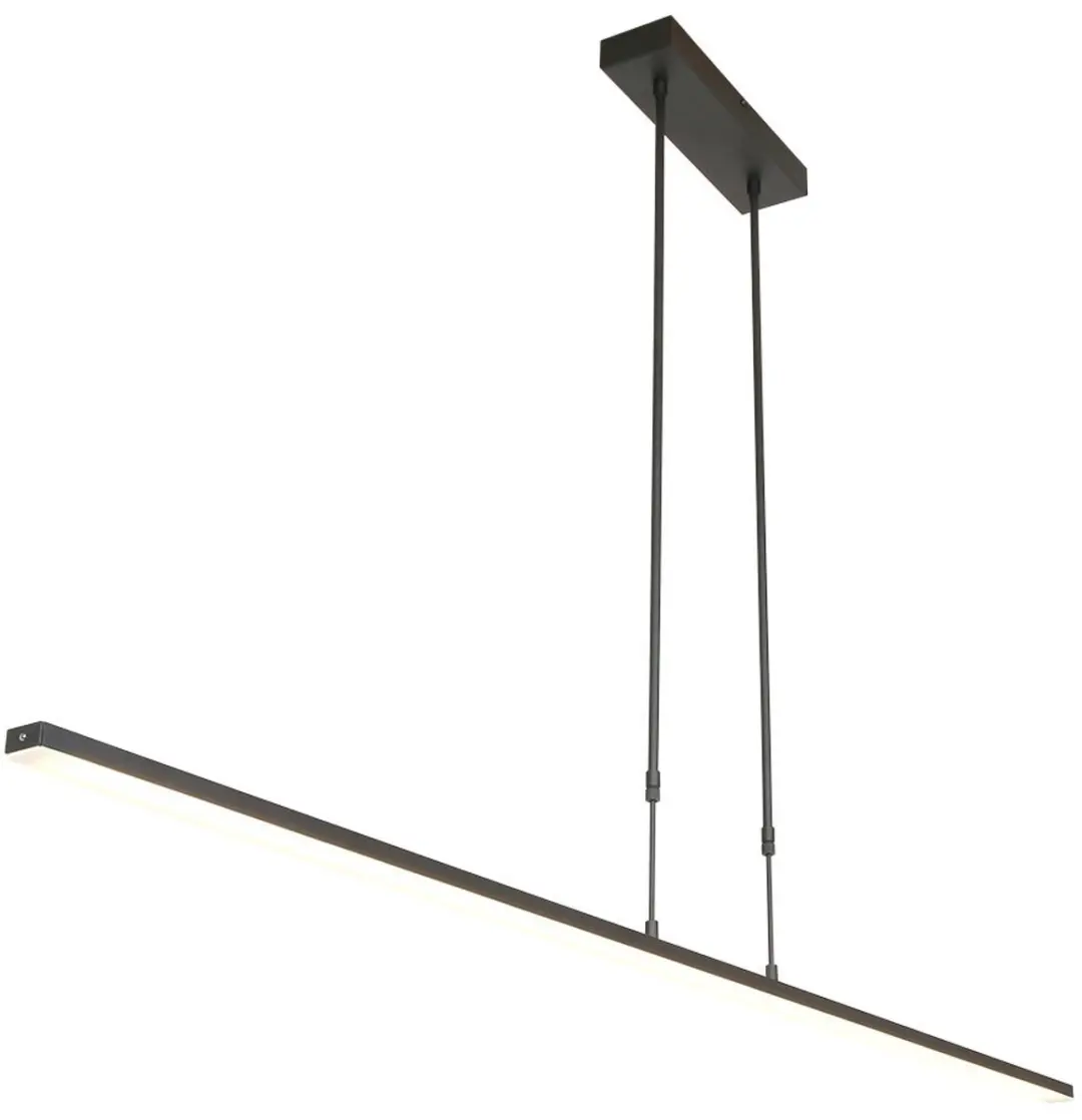 Steinhauer Zelena 7971ZW Hanglamp - 3 Lichtpunten - Zwart