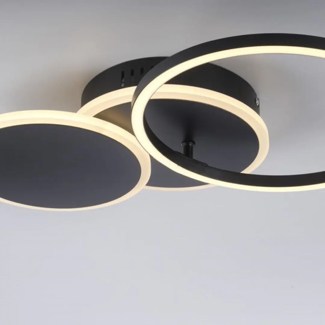 Paul Neuhaus Plafondlamp Baikal 3 - 3000K - Ø33,5cm - Zwart - afbeelding 6 van 6