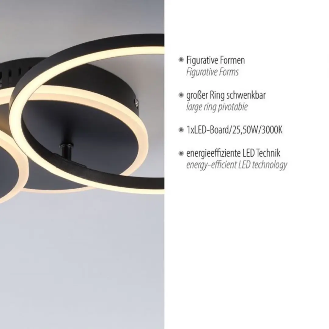 Paul Neuhaus Plafondlamp Baikal 3 - 3000K - Ø33,5cm - Zwart