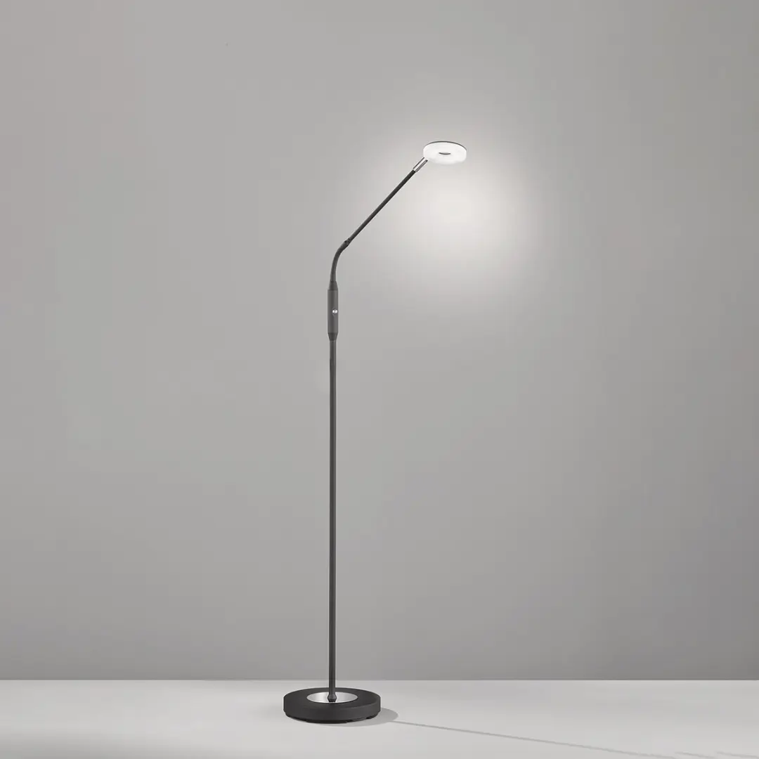 Fischer & Honsel Dent Vloerlamp 6W - Zwart/Chroom