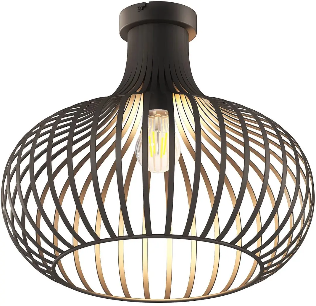 Globo Mateo Plafondlamp