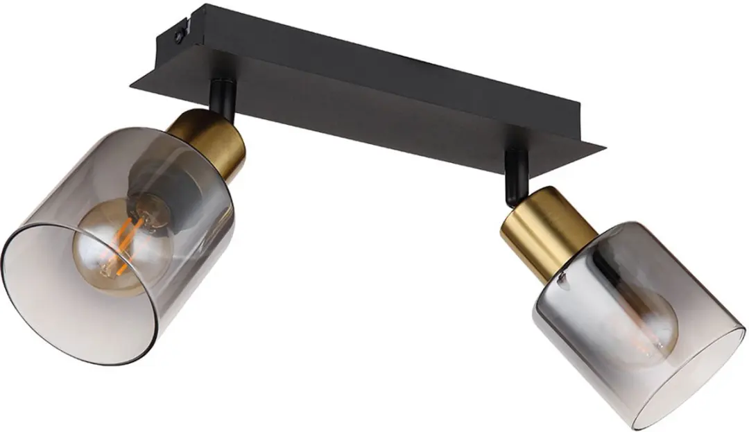 Globo Plafondlamp 2-pits Zwenkbaar